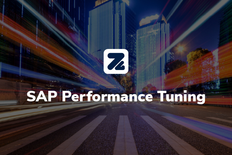 SAP Performance Tuning ZyGen